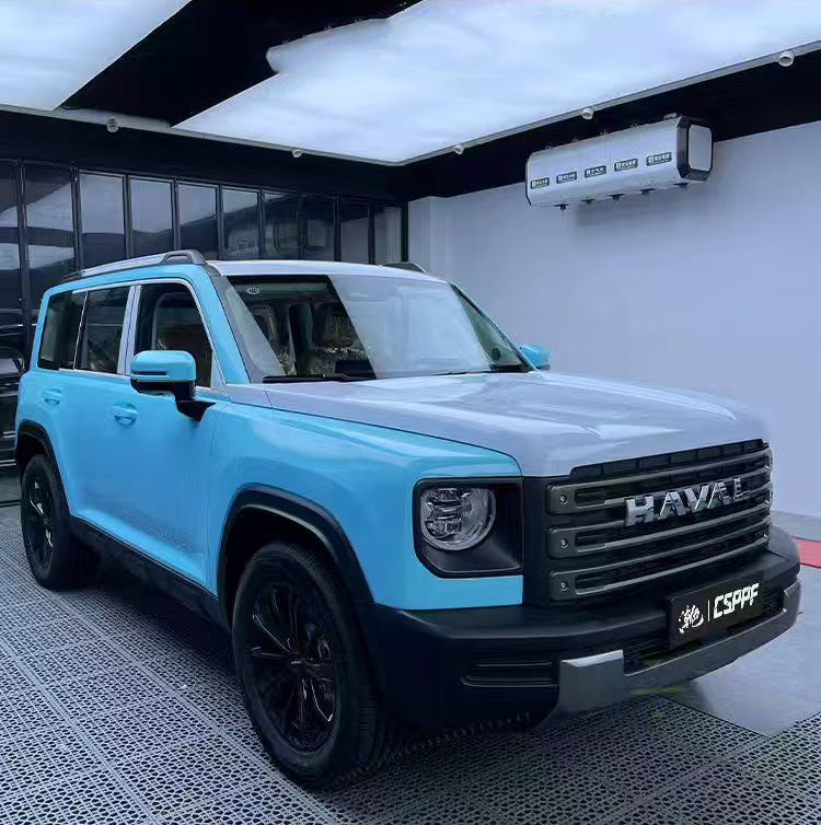 Blue-and-green Donar's Finch