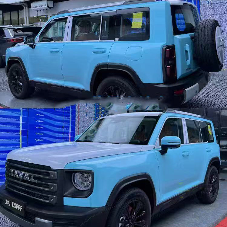 Blue-and-green Donar's Finch