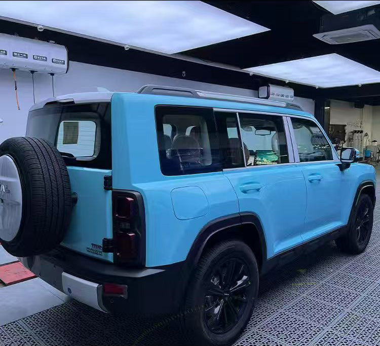 Blue-and-green Donar's Finch