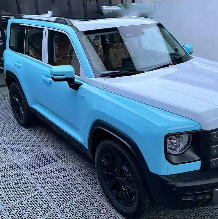 Blue-and-green Donar's Finch